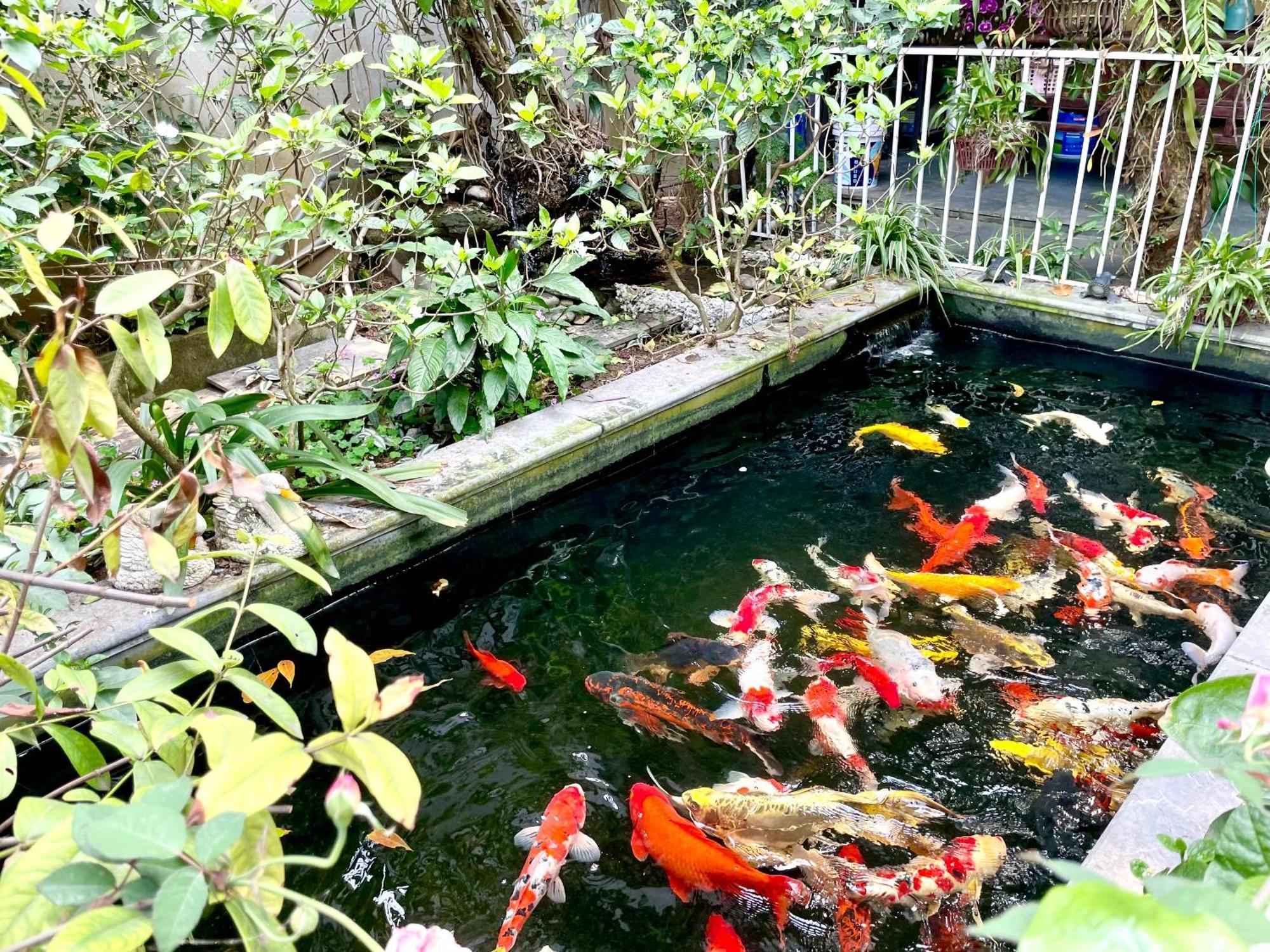 Lee Homestay Hà Nội Ngoại thất bức ảnh