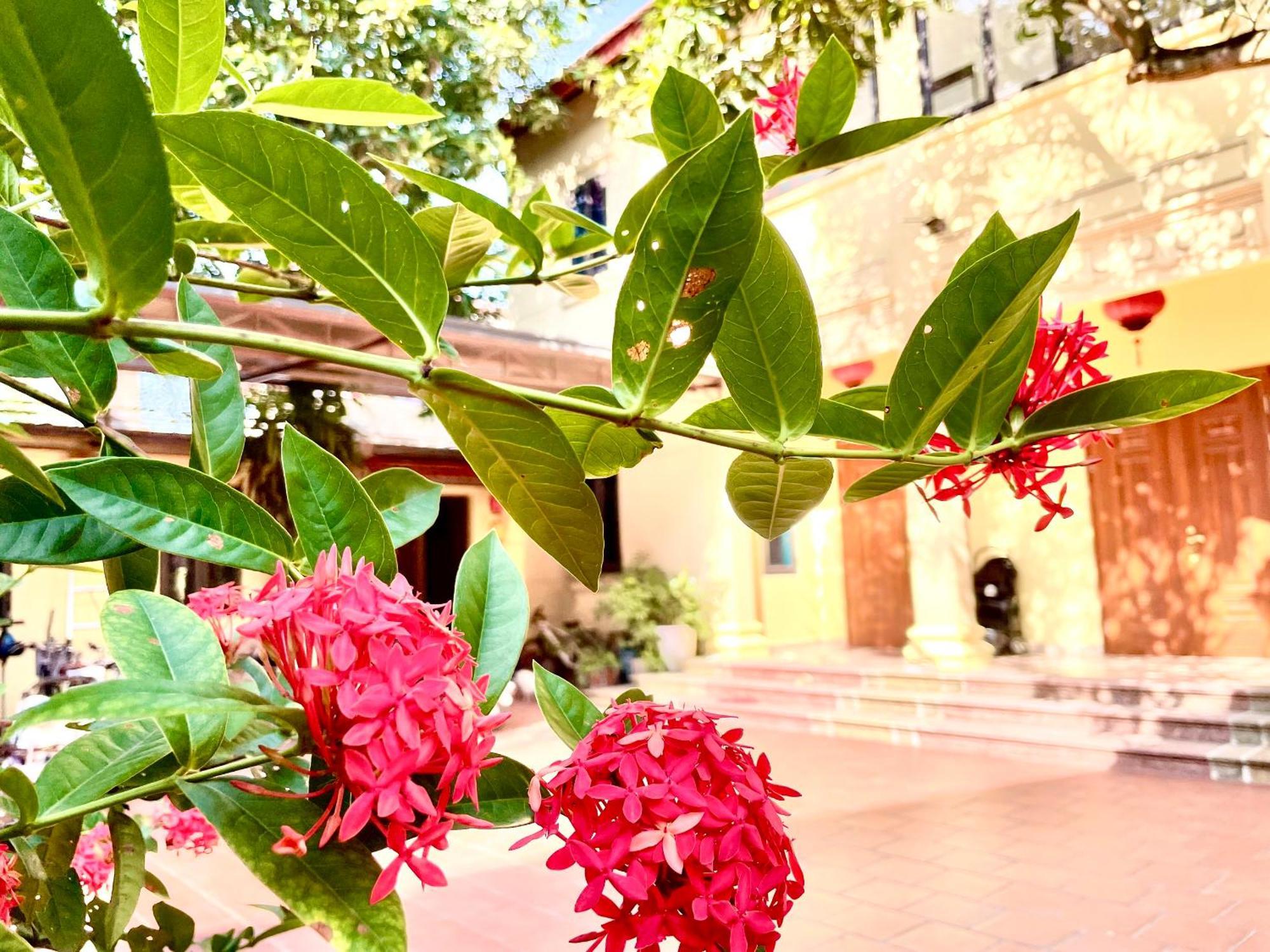 Lee Homestay Hà Nội Ngoại thất bức ảnh