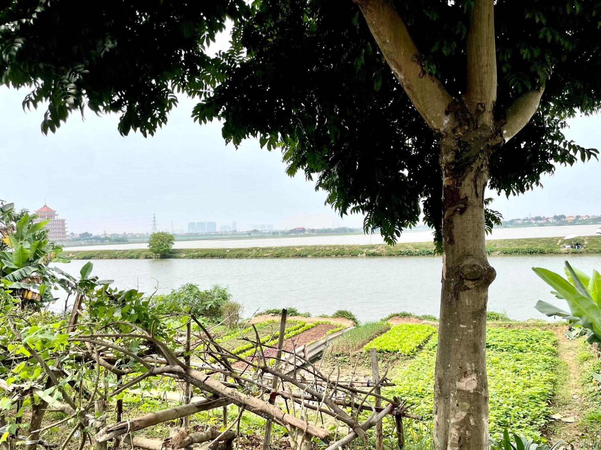 Lee Homestay Hà Nội Ngoại thất bức ảnh